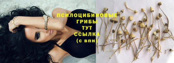 марки nbome Белоозёрский