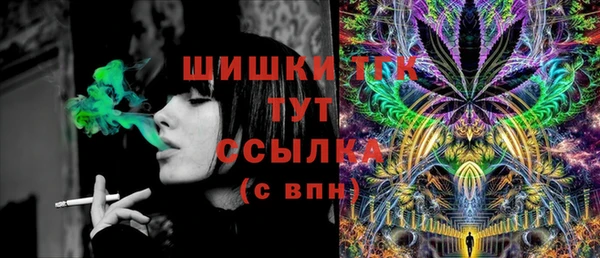 тгк Белокуриха