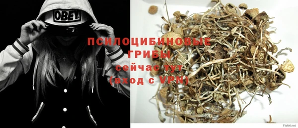 тгк Белокуриха