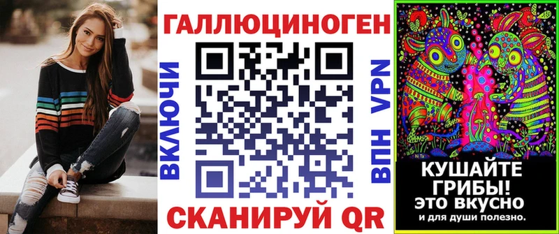 Купить Городовиковск Галлюциногенные грибы Psilocybine cubensis