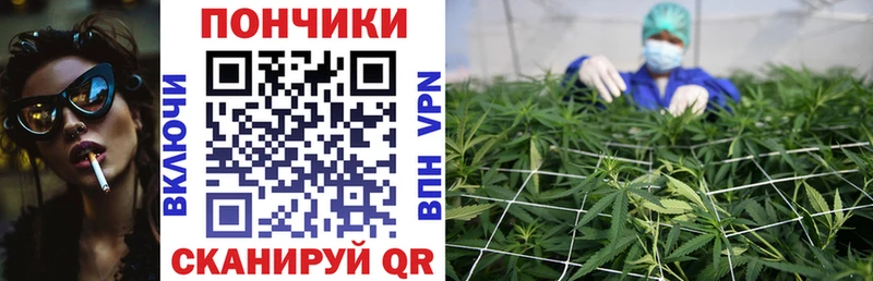 Купить закладки  Городовиковск  МАРИХУАНА Amnesia 